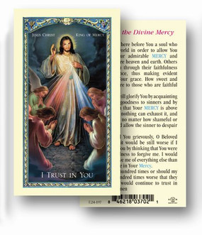 Jesus Christ King of Mercy Laminated Holy Card