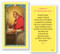 St. Charles Borromeo Laminated Holy Card