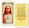 Passion of Christ Laminated Holy Card