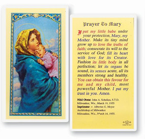 Mary Madonna of the Street Laminated Holy Card