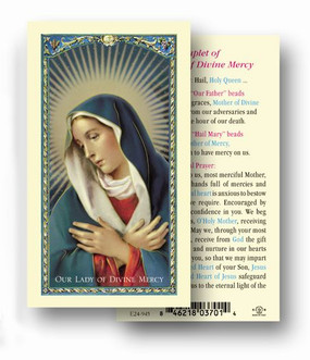 Our Lady of Divine Mercy Laminated Holy Card