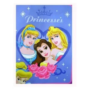 Large Disney Princess Royal Plush Throw Blanket : Love