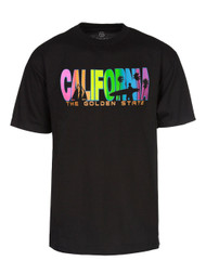 California The Golden State 2 Palms T-Shirt