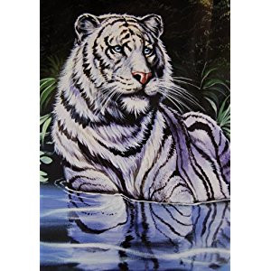 New Signature Collection Queen Size Wading White Tiger Korean Acrylic Blend Blanket