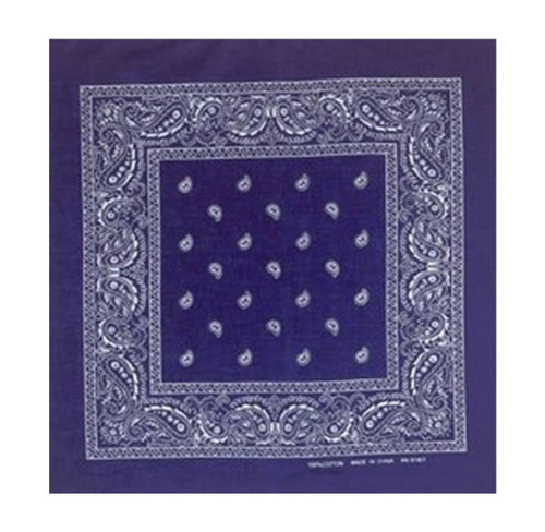 Paisley Navy Bandana