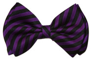 Purple / Black Striped 4.3 inches Bowtie