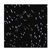 Supreme Cotton Sparkle-Carbon