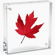 Ashley McPherren - Canetti Original Magnet Frame 4x4