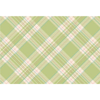 Emily Kassing - Green Plaid Paper Placemats