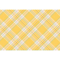 Emily Kassing - Yellow Plaid Paper Placemats