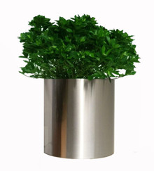 Knox Stainless Steel Cylinder Planter 12x12x12