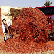 Loadhandler Standard Full Size Truck Unloader 2200