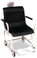 Doran Digital Chair Scale DS8150-WIFI