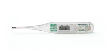 Thermometer cost sale