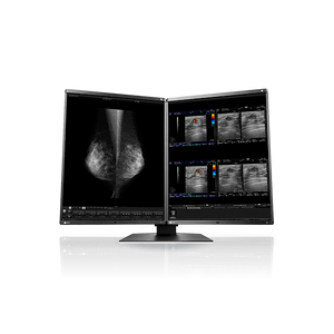 Eizo RX560 5MP 21" Radiology Monitor