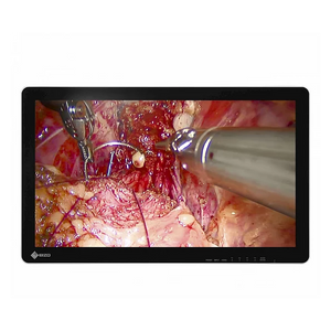 Eizo CuratOR EX2620-3D 26" Surgical Monitor