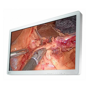Eizo CuratOR EX3220 31" Surgical Monitor