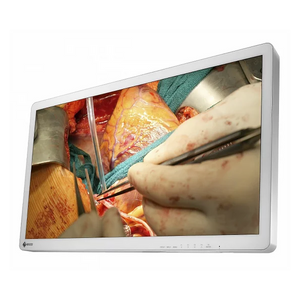 Eizo Curator EX3242 32" 4K UHD Surgical Monitor