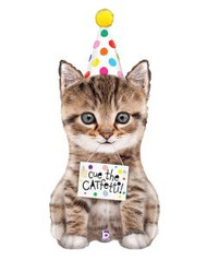 Cue The Catfetti Happy Birthday Cat 
