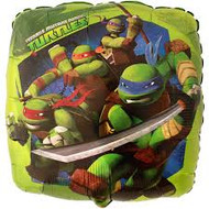 Teenage Mutant Ninja Turtle 