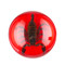 Scorpion Paperweight-X-Large-Red