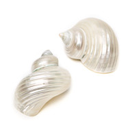 Silver Mouth Turban - Seashell
