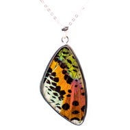 Sunset Moth Wing Necklace - Underside - Large Thumbnail