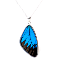 Ulysses Butterfly Wing Necklace - Large - Thumbnail