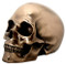Bronze Skull High Def