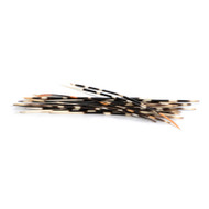 African Porcupine Quills - Thumbnail