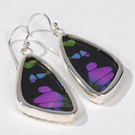 Butterfly Earrings - Thumbnail