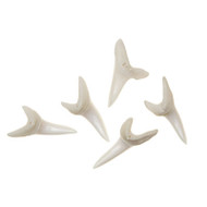 Mako Shark Tooth - Thumbnail
