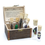 Insect Curio Box Thumbnail