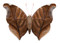 Stinky Leaf Wing Butterfly - Historis odius (Underside) - Unframed Specimen
