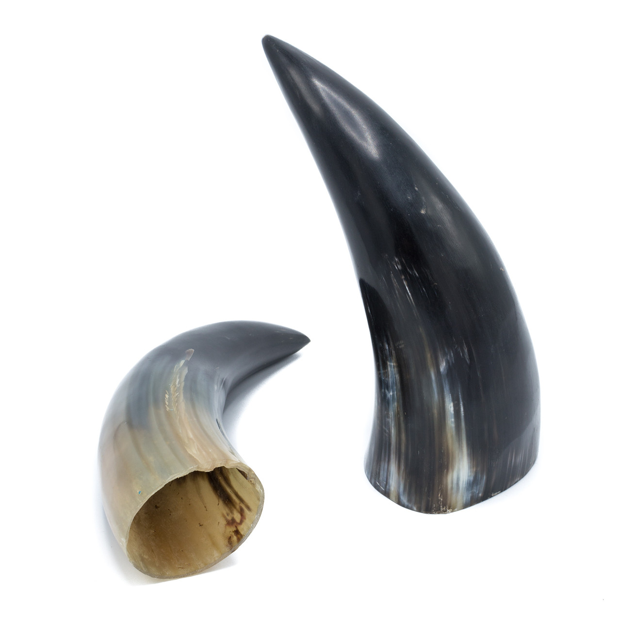 Water Buffalo Horn Evolution Store