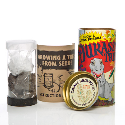 Grow It Kit Evolution Store