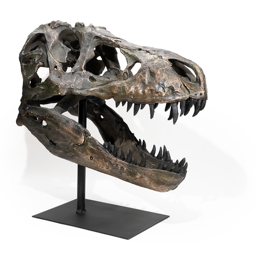 Replica T Rex Skull Large - Thumbnail