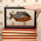 Framed Red-Bellied Piranha - Scale