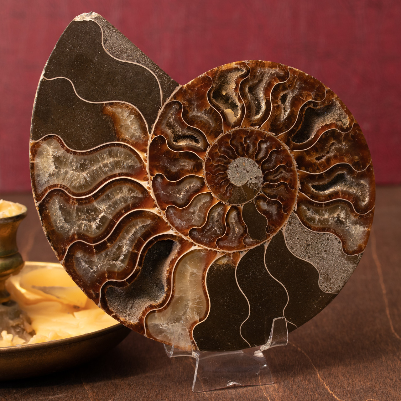 Ammonite Half Fossil FSE700 ✔100%genuine✔UKseller Madagascan Cretaceous Ammonite Half Fossil FSE700 ✔100%genuine✔UKseller Madagascan Cretaceous