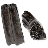 Fossil Horse Teeth - Thumbnail