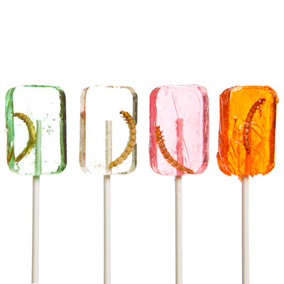 worm lollipop the evolution