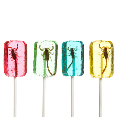 Scorpion Lollipop Evolution Store