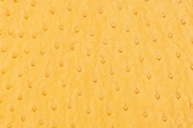 Ostrich Skin Cashmere Spice Yellow