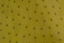 Ostrich Skin Matte Chartreuse II