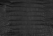 Alligator Skin Belly Matte Black 30/34 cm Grade 4