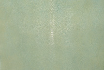 Stingray Skin Polished Green 8"