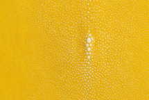 Stingray Skin Polished Yellow 8"