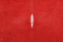 Stingray Skin Red 15"