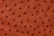 Ostrich Skin Matte Rouille