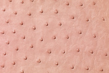 Ostrich Skin Matte Petal Pink